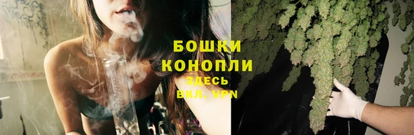 стаф Медвежьегорск