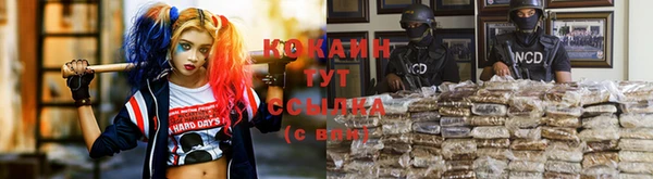 стаф Медвежьегорск