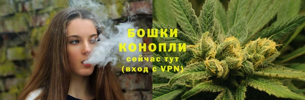 стаф Медвежьегорск