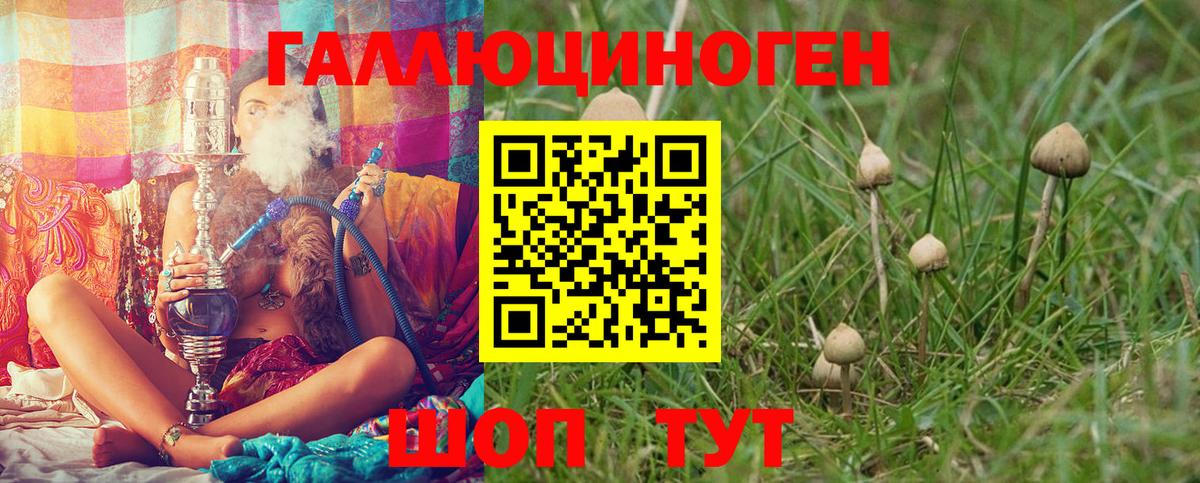 Псилоцибиновые грибы Psilocybine cubensis  Псилоцибиновые грибы Psilocybe  Энгельс  Вход с VPN 