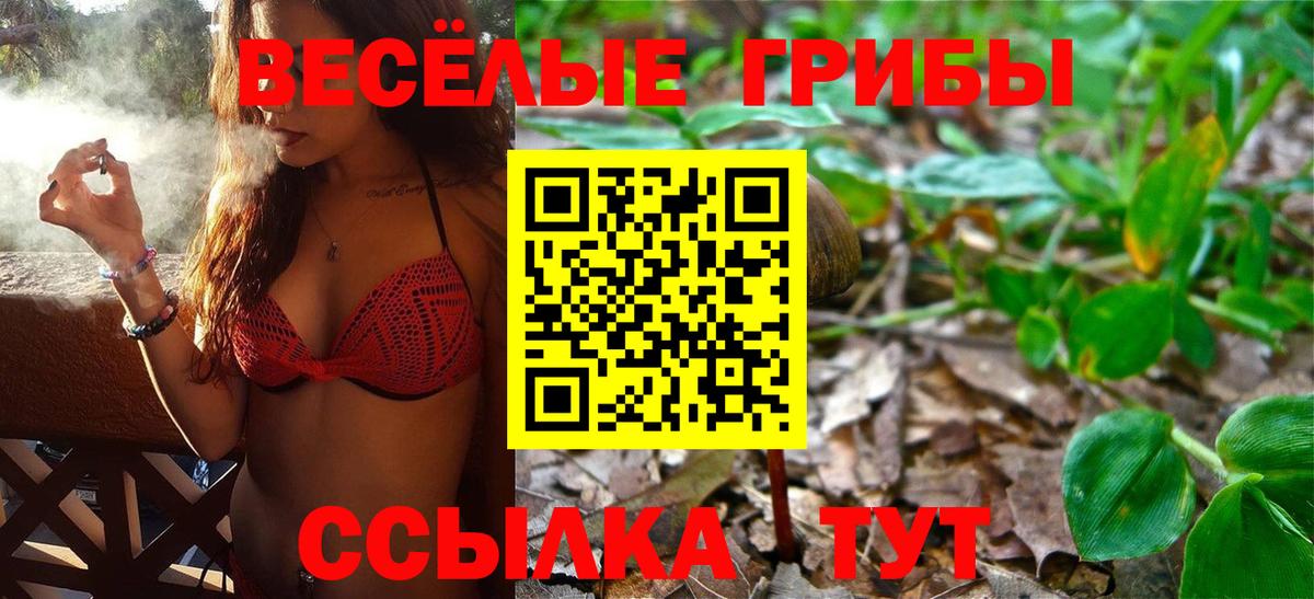 Псилоцибиновые грибы Magic Shrooms Энгельс