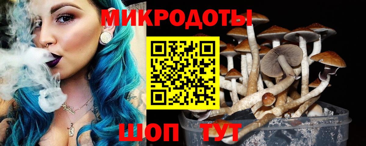 где найти наркотики  Энгельс  Псилоцибиновые грибы прущие грибы  Галлюциногенные грибы мухоморы 