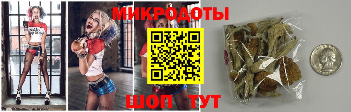 Галлюциногенные грибы Psilocybine cubensis Энгельс